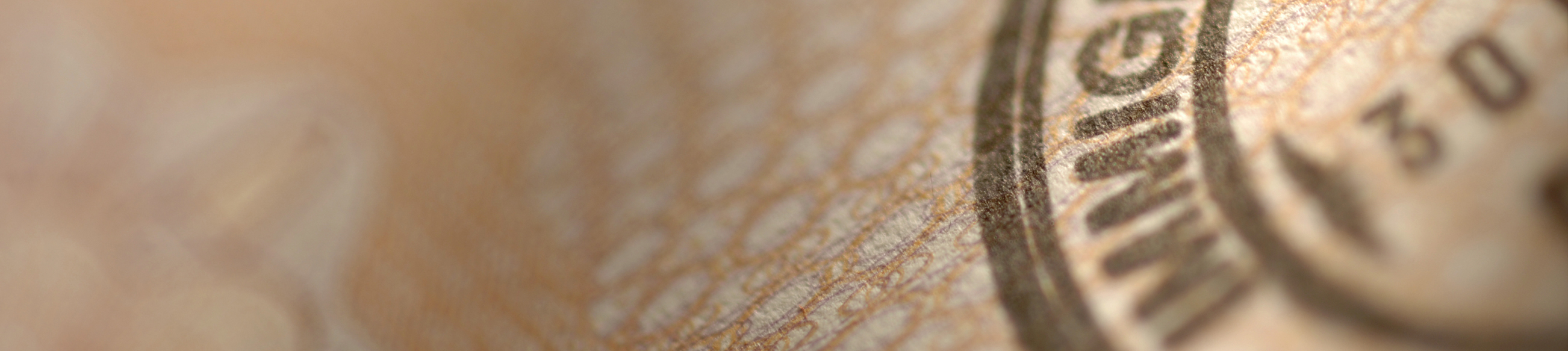 A beige background with the word immigration in the forefront.